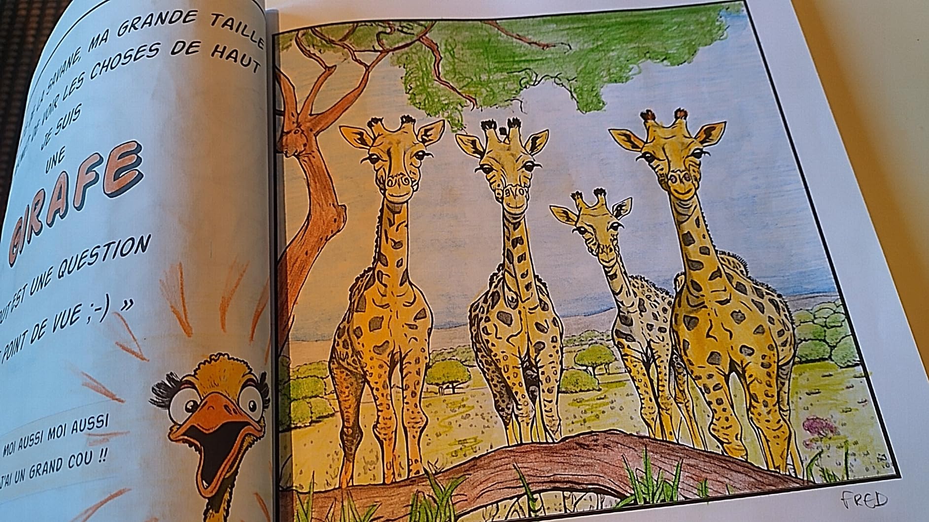 Extrait du livre Colore le Monde