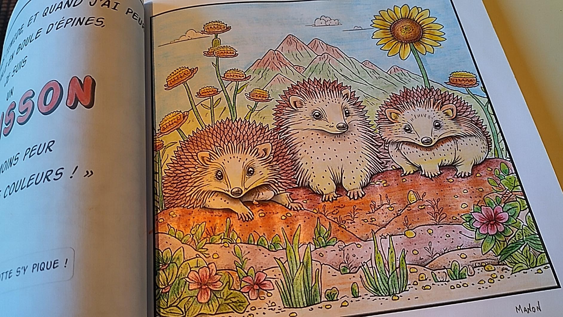 Extrait du livre Colore le Monde