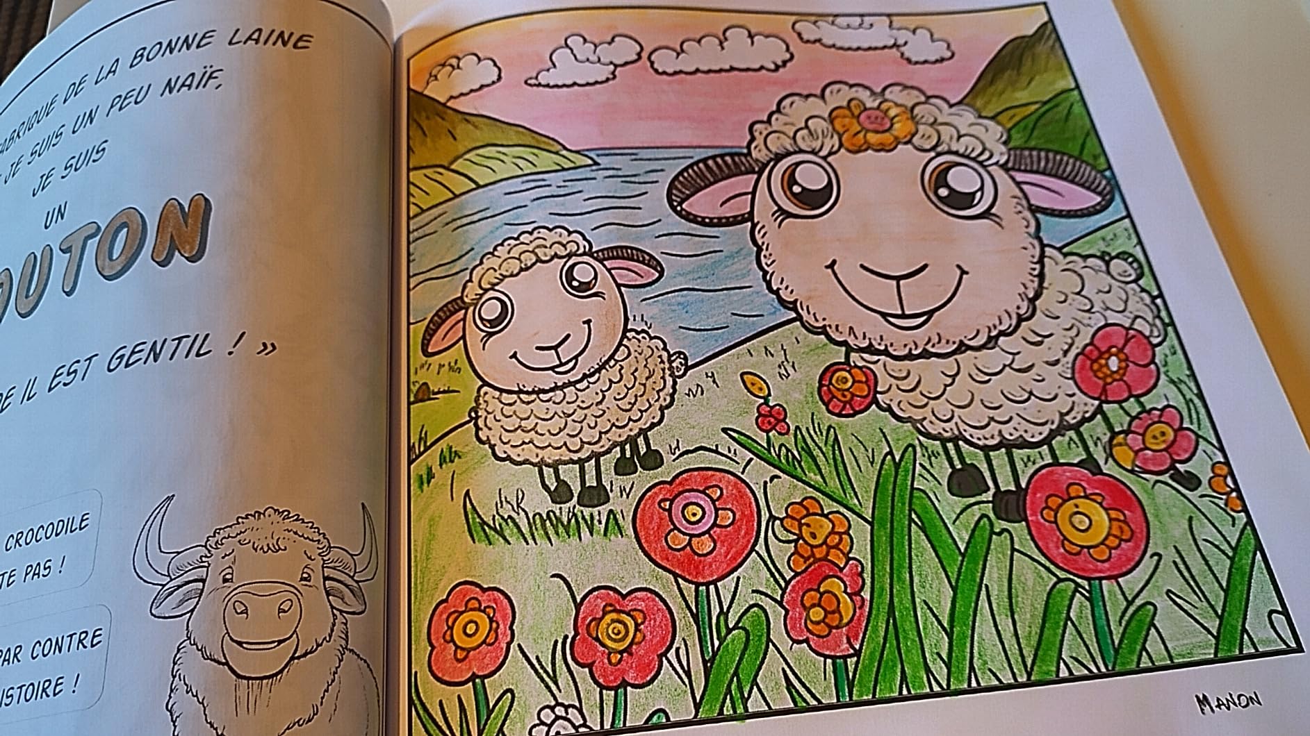 Extrait du livre Colore le Monde