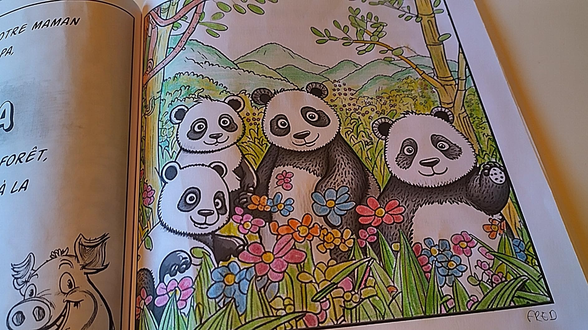 Extrait du livre Colore le Monde