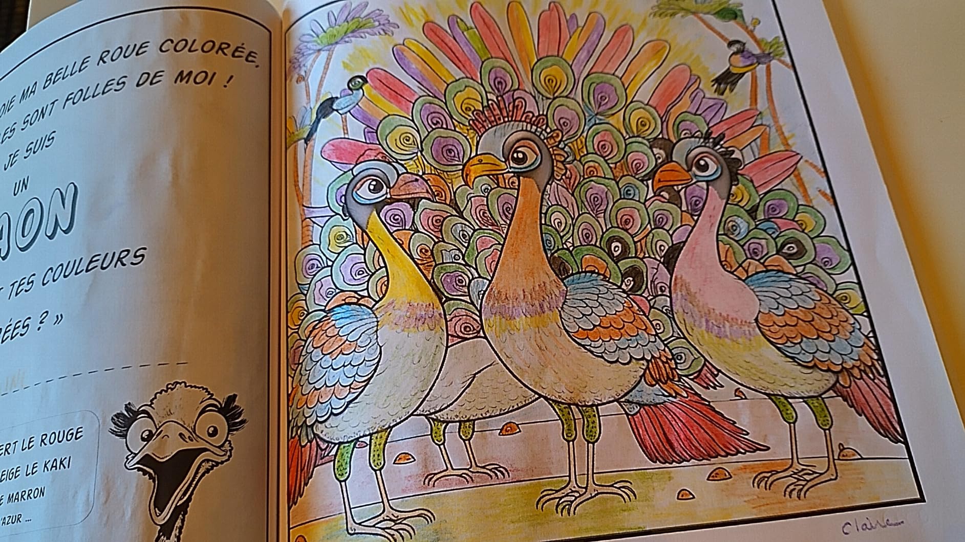 Extrait du livre Colore le Monde